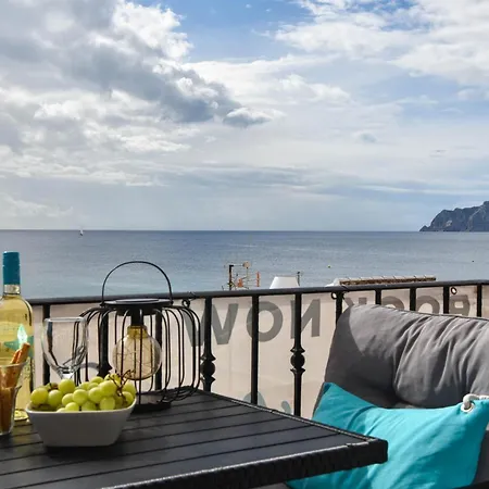 Octopus * מוריירה