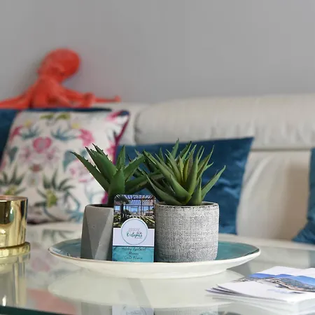 Octopus Apartament *