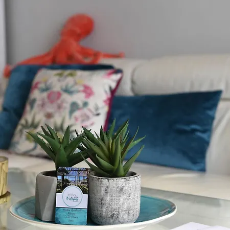 Octopus Apartament Moraira